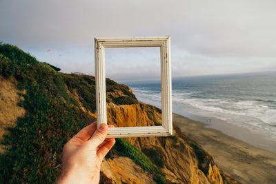 Connect with nature without leaving your home during this lockdown